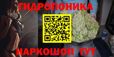 дживик Ирбит