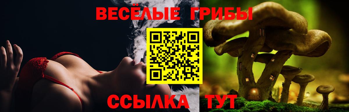 Галлюциногенные грибы GOLDEN TEACHER Кулебаки